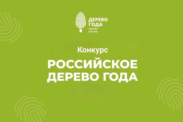 Российское дерево года - 2025.